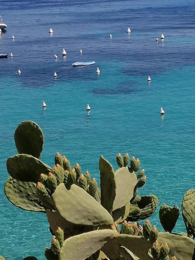 Casa Vacanza Tra Cielo E Mare Custonaci Eksteriør bilde
